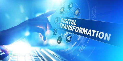 數(shù)字變革的雙重奏 疫情驅(qū)動(dòng)下的企業(yè)轉(zhuǎn)型與消費(fèi)者體驗(yàn)重構(gòu)